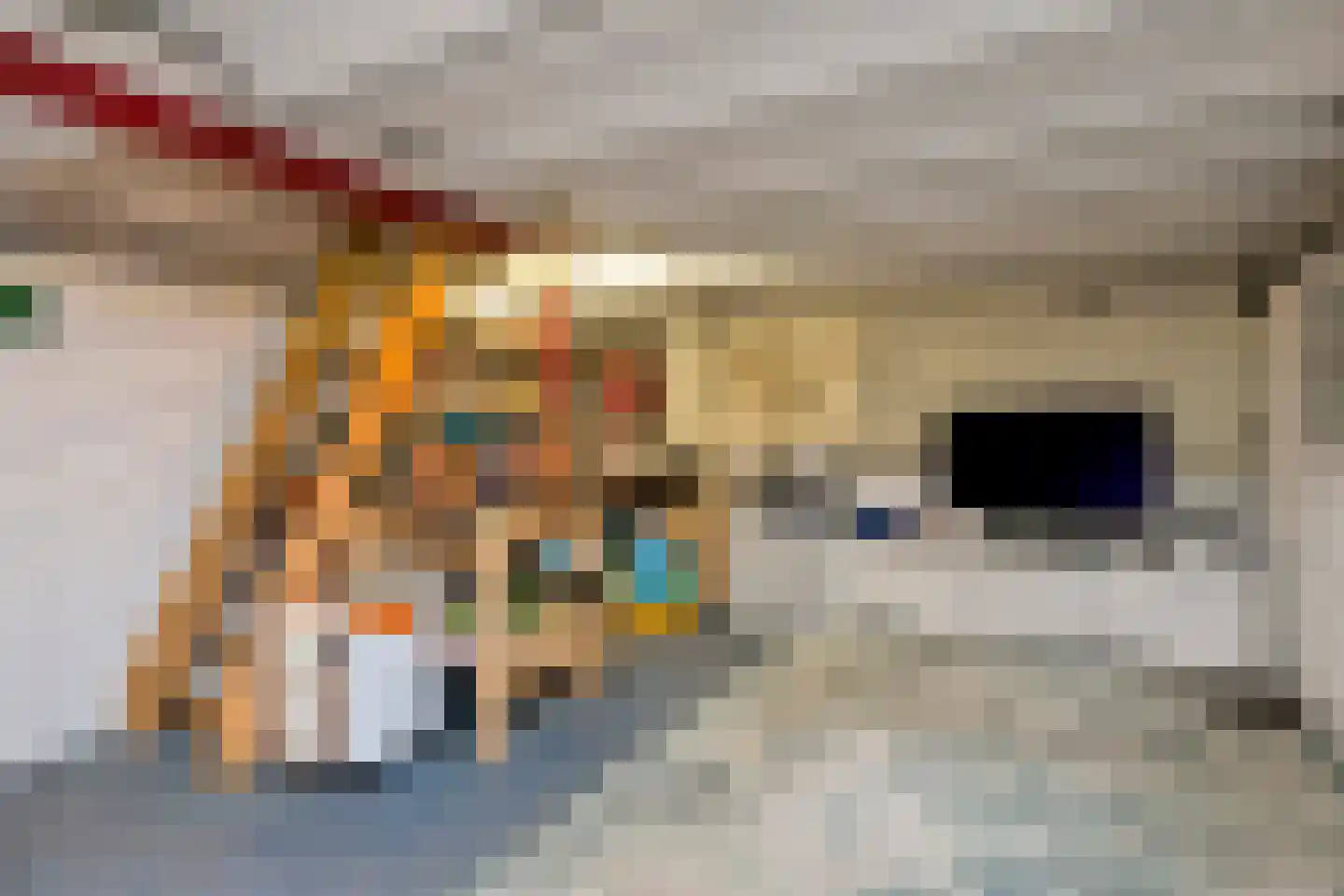 Bachlaan 120 Doorwerth thumbnail 40