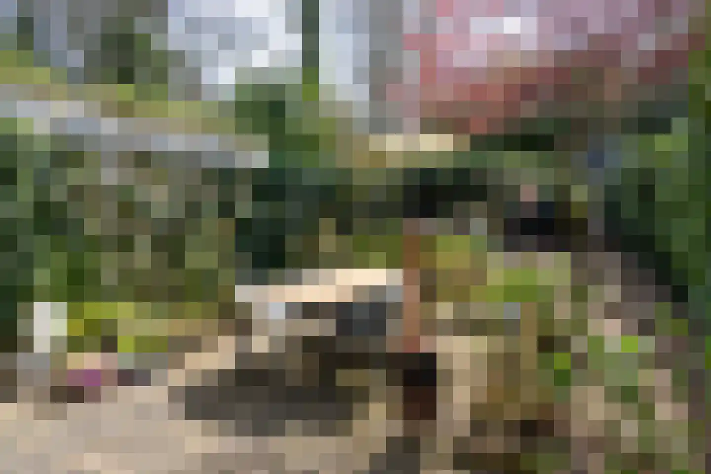 Bachlaan 120 Doorwerth thumbnail 43