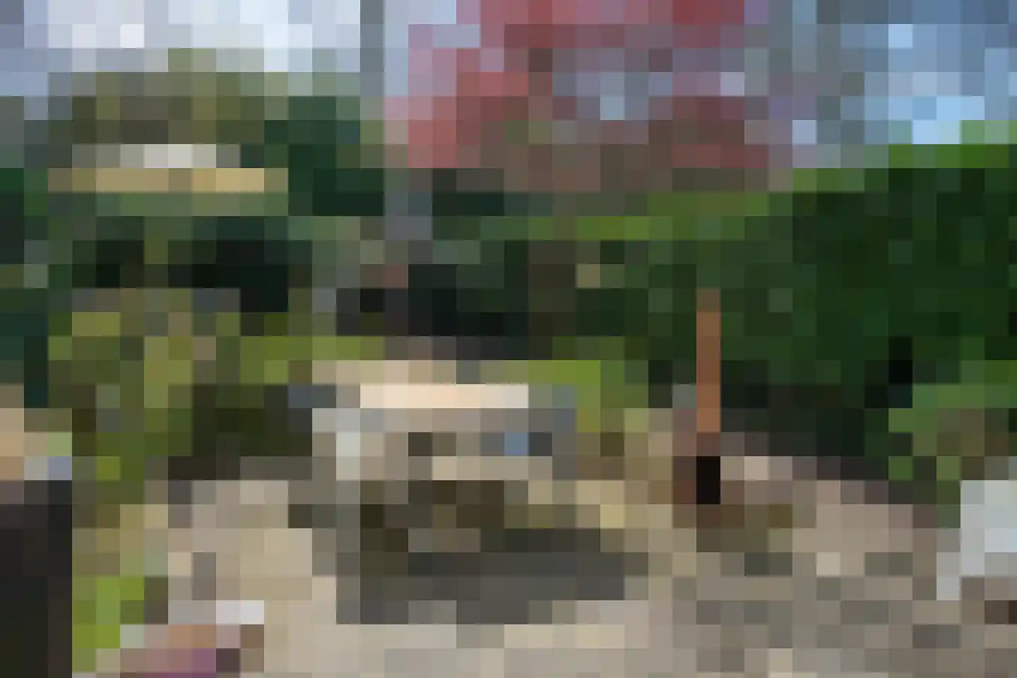 Bachlaan 120 Doorwerth thumbnail 44