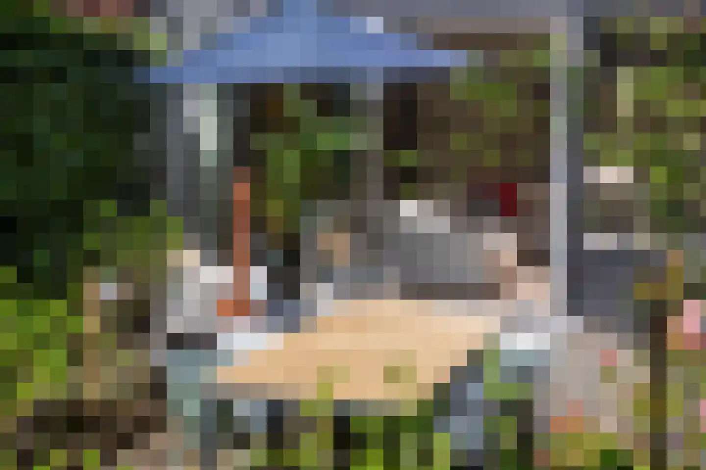 Bachlaan 120 Doorwerth thumbnail 45
