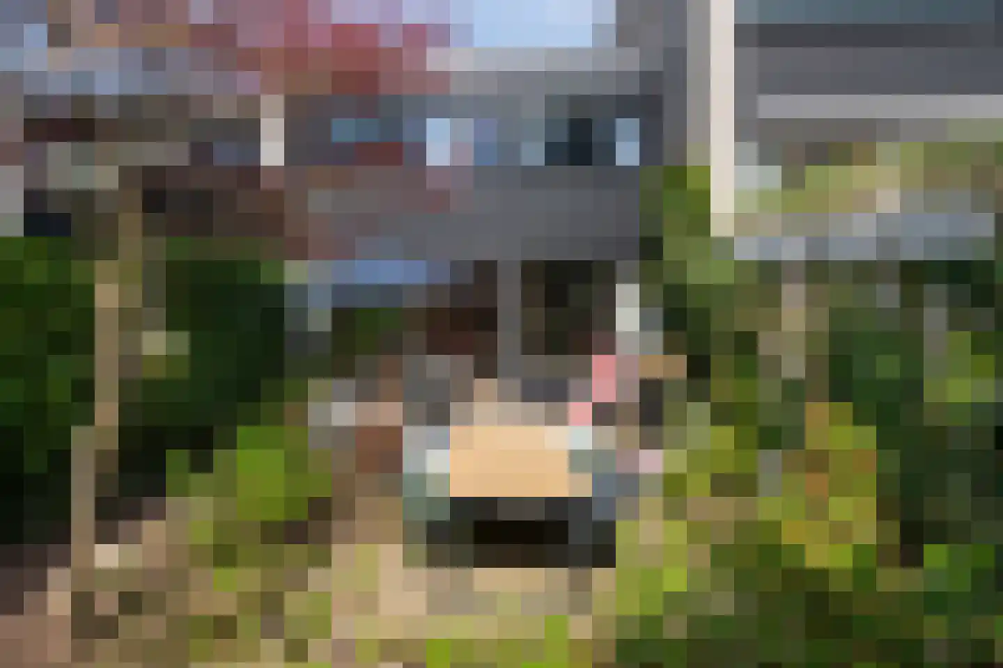 Bachlaan 120 Doorwerth thumbnail 47