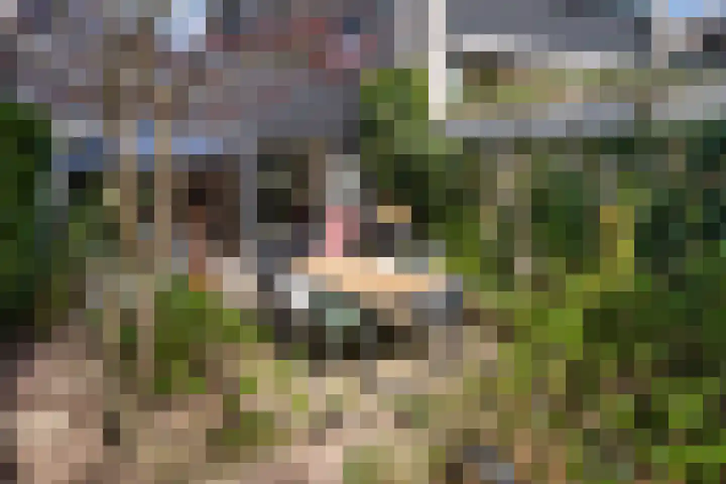 Bachlaan 120 Doorwerth thumbnail 50