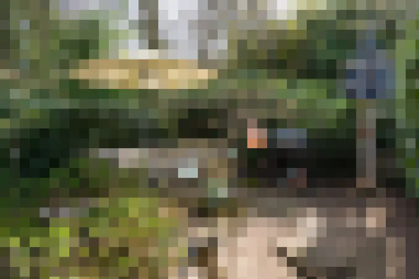 Bachlaan 120 Doorwerth thumbnail 51