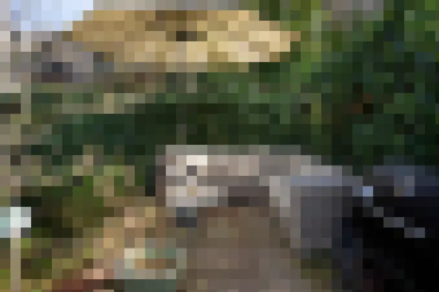 Bachlaan 120 Doorwerth thumbnail 52