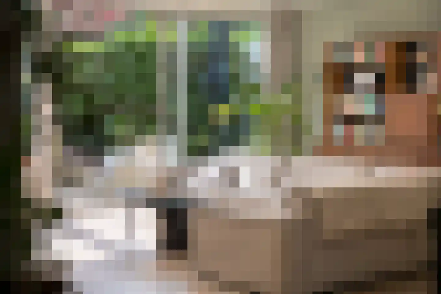 Bachlaan 120 Doorwerth thumbnail 7