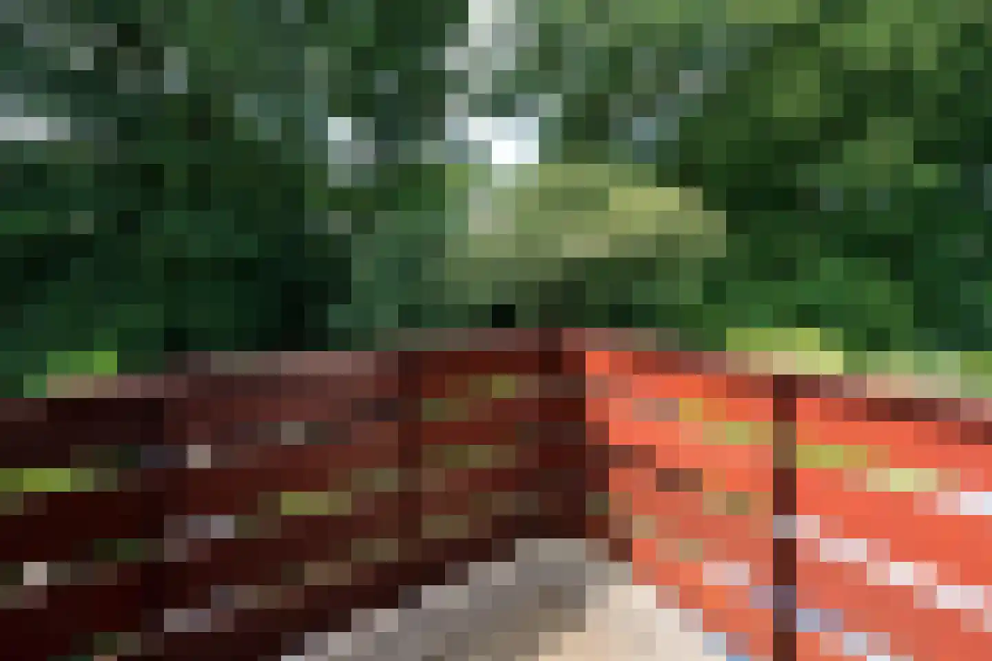 Bachlaan 126 Doorwerth thumbnail 35