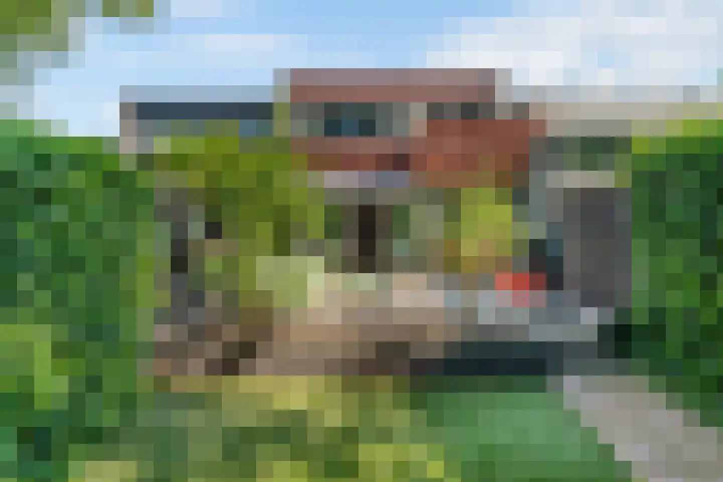 Bachlaan 126 Doorwerth thumbnail 45