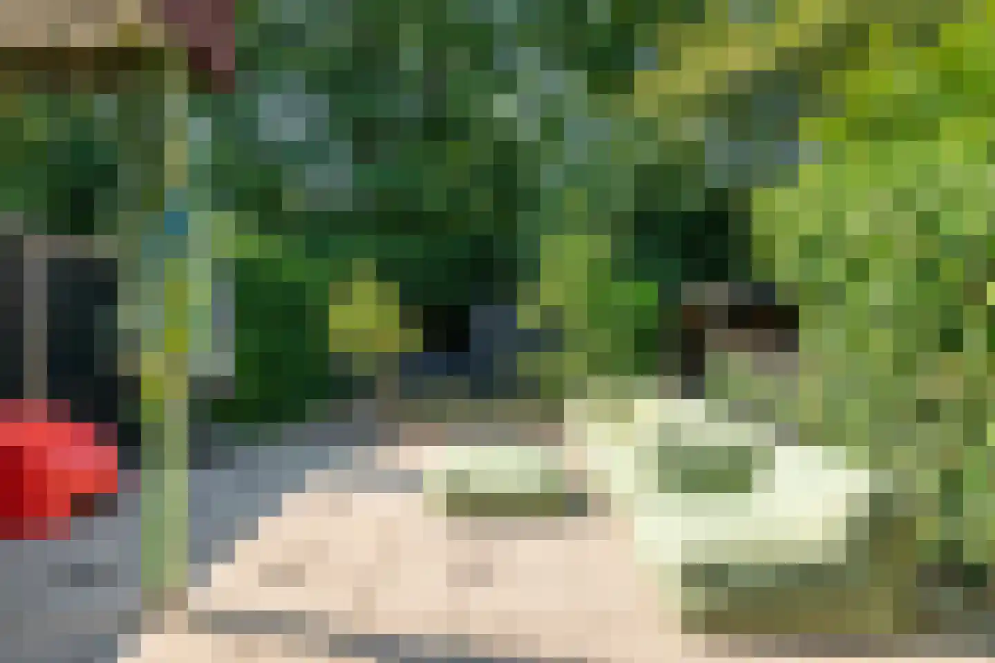 Bachlaan 126 Doorwerth thumbnail 49