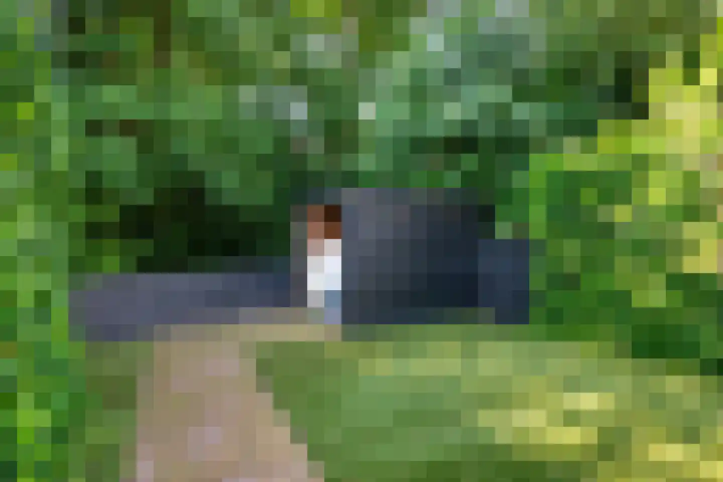 Bachlaan 126 Doorwerth thumbnail 50