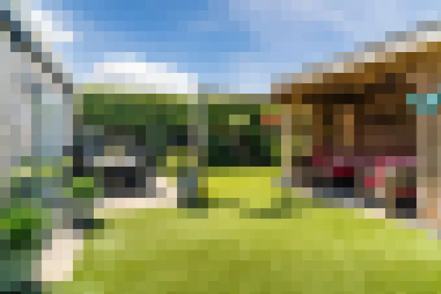 Bachlaan 13 Culemborg thumbnail 27