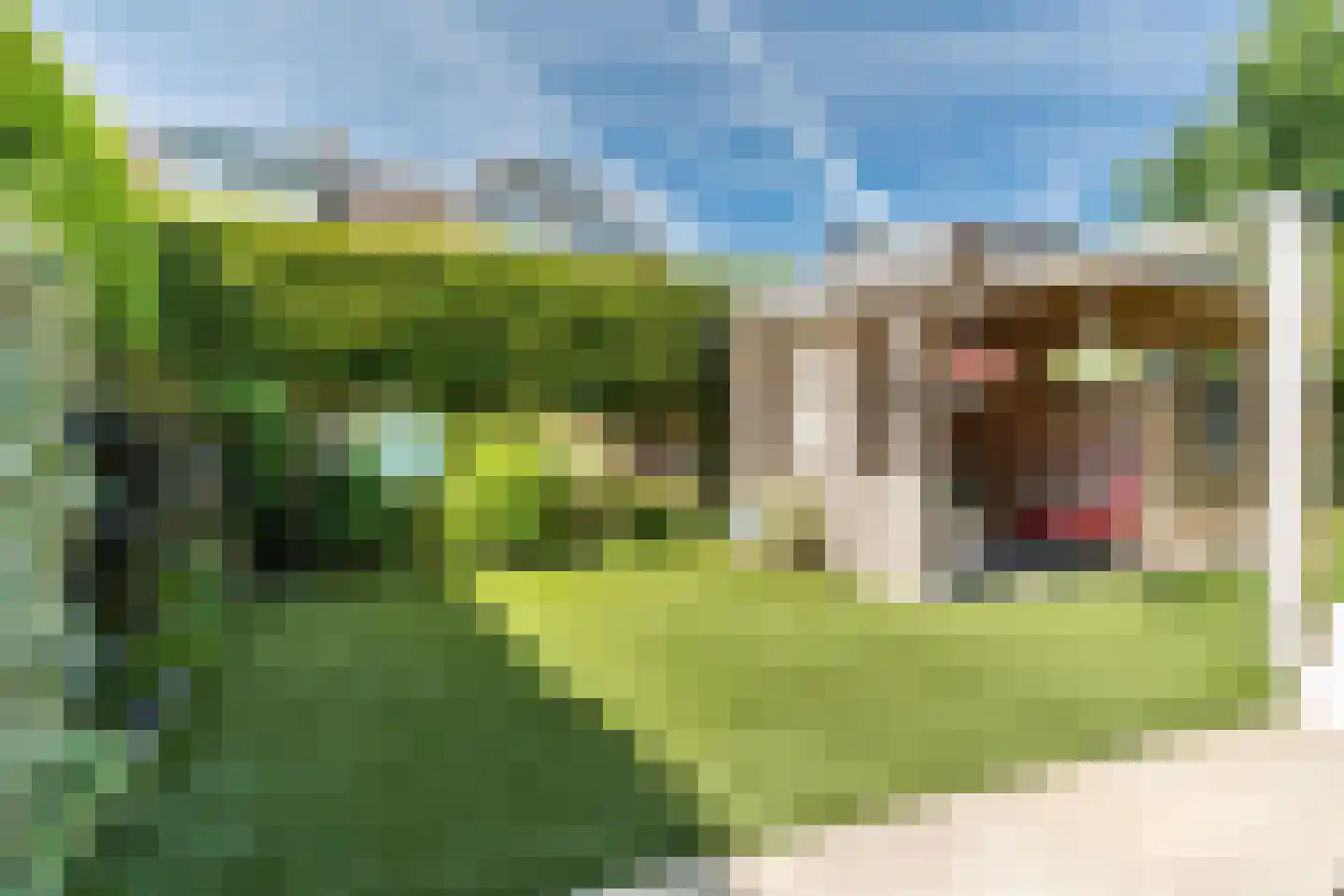 Bachlaan 13 Culemborg thumbnail 28
