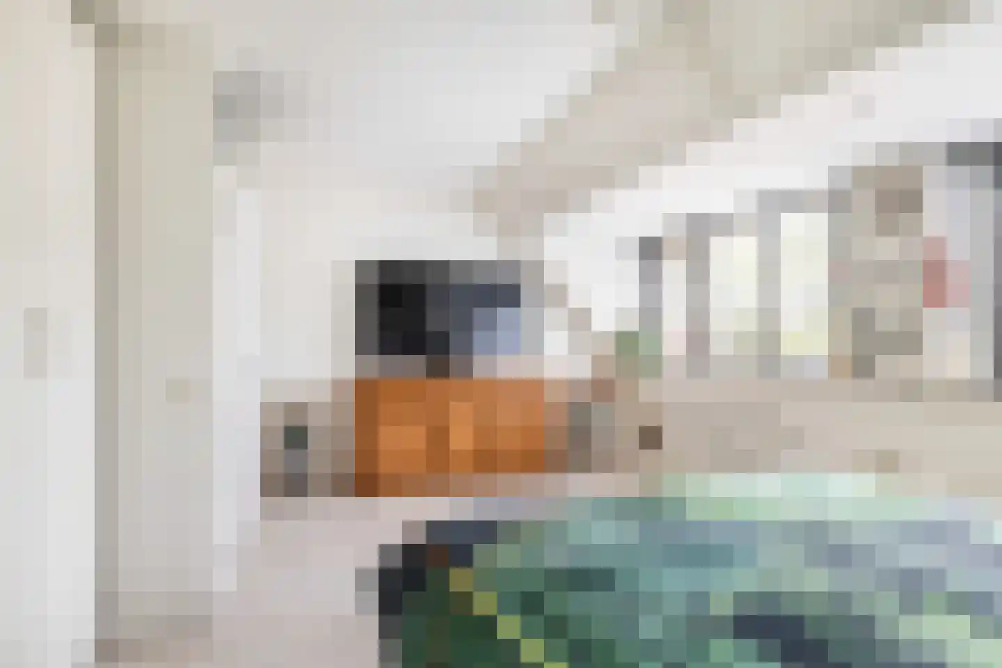 Bachlaan 13 Zeist thumbnail 23