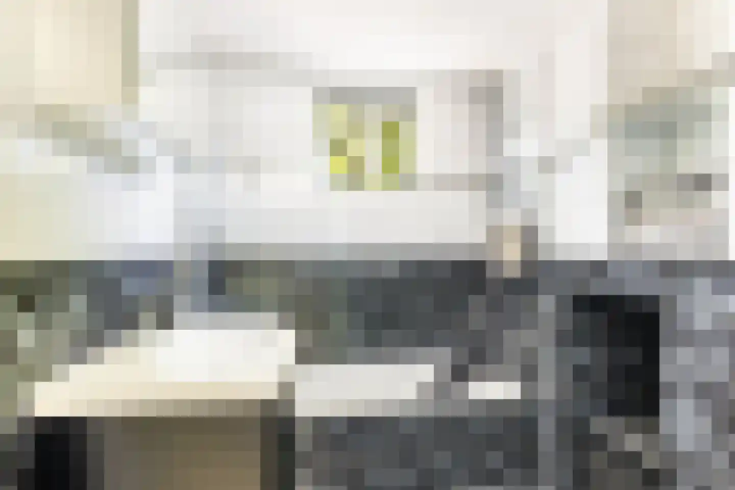 Bachlaan 13 Zeist thumbnail 29