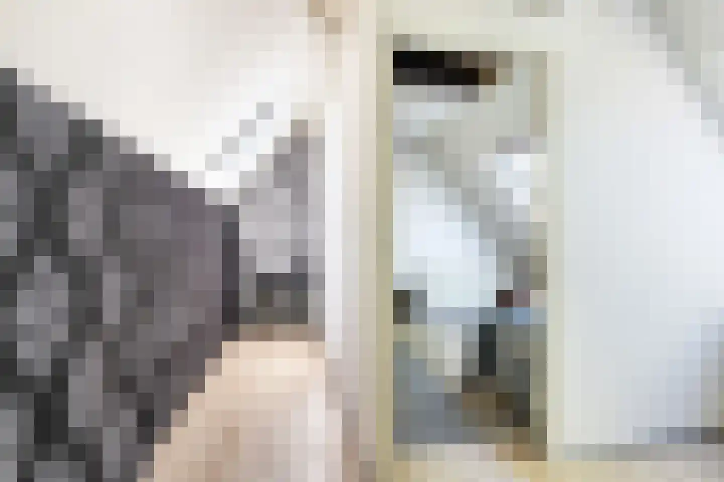 Bachlaan 13 Zeist thumbnail 34