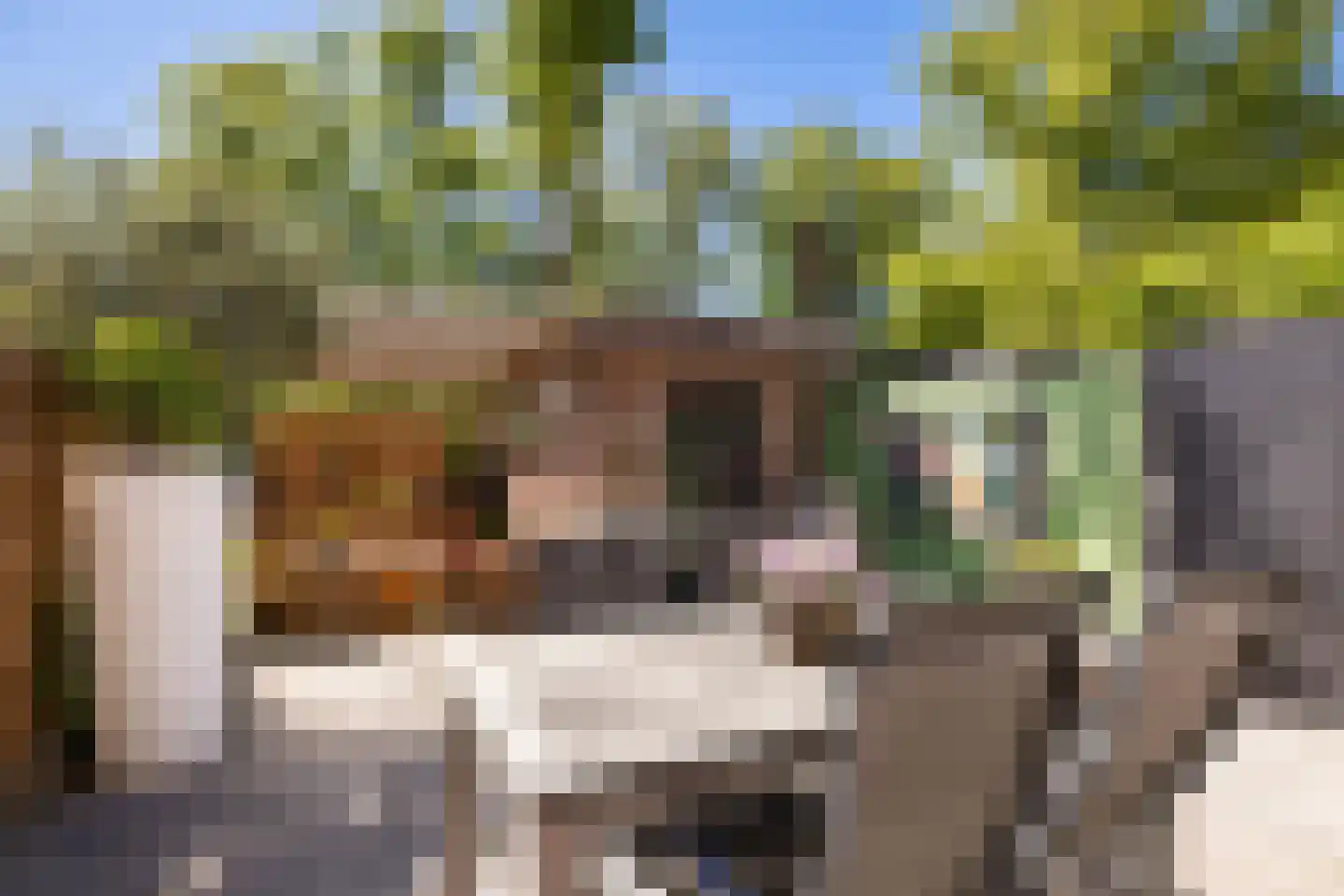 Bachlaan 13 Zeist thumbnail 4