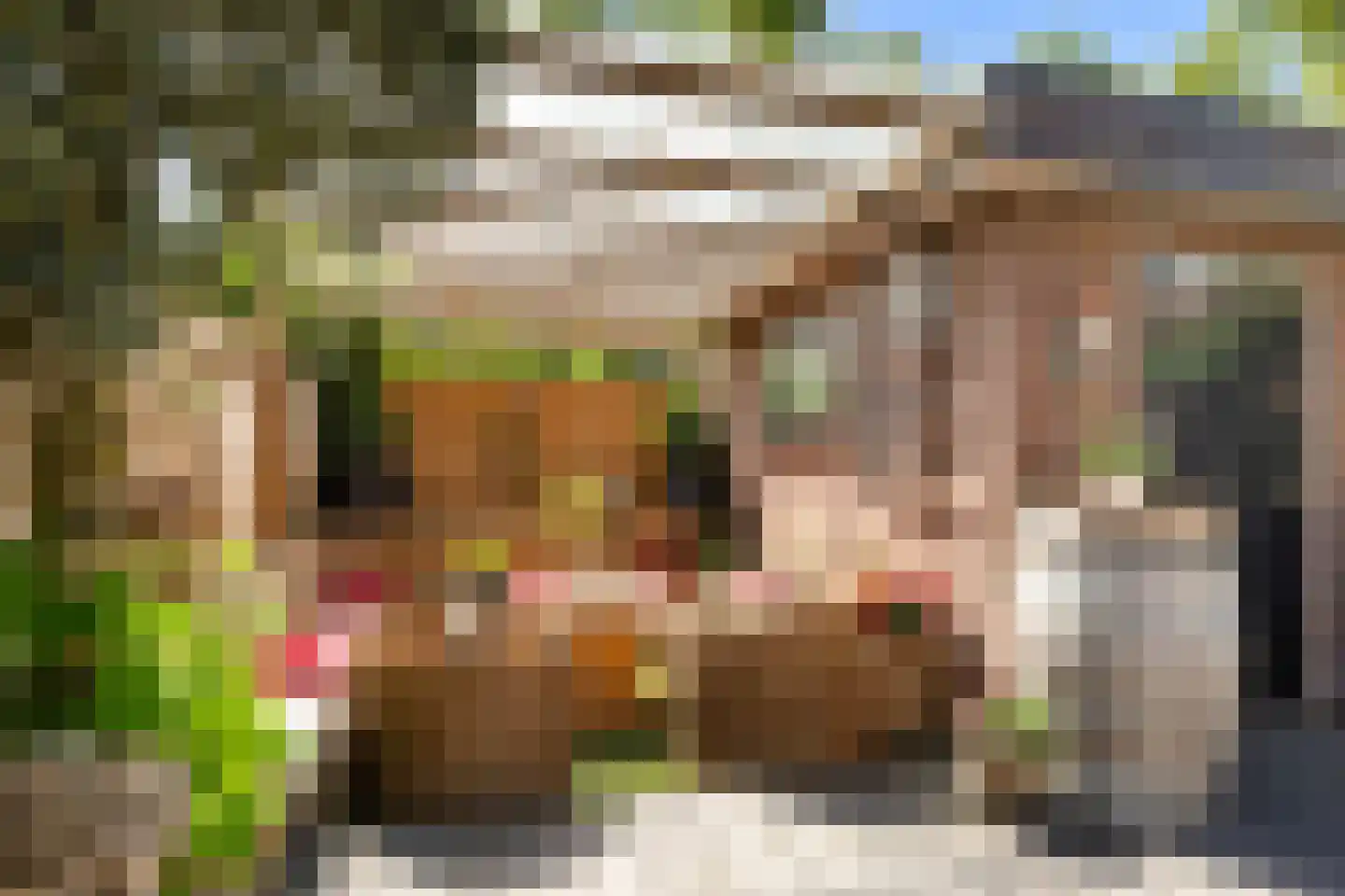 Bachlaan 13 Zeist thumbnail 41