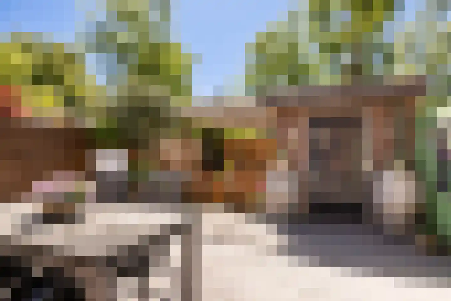 Bachlaan 13 Zeist thumbnail 46