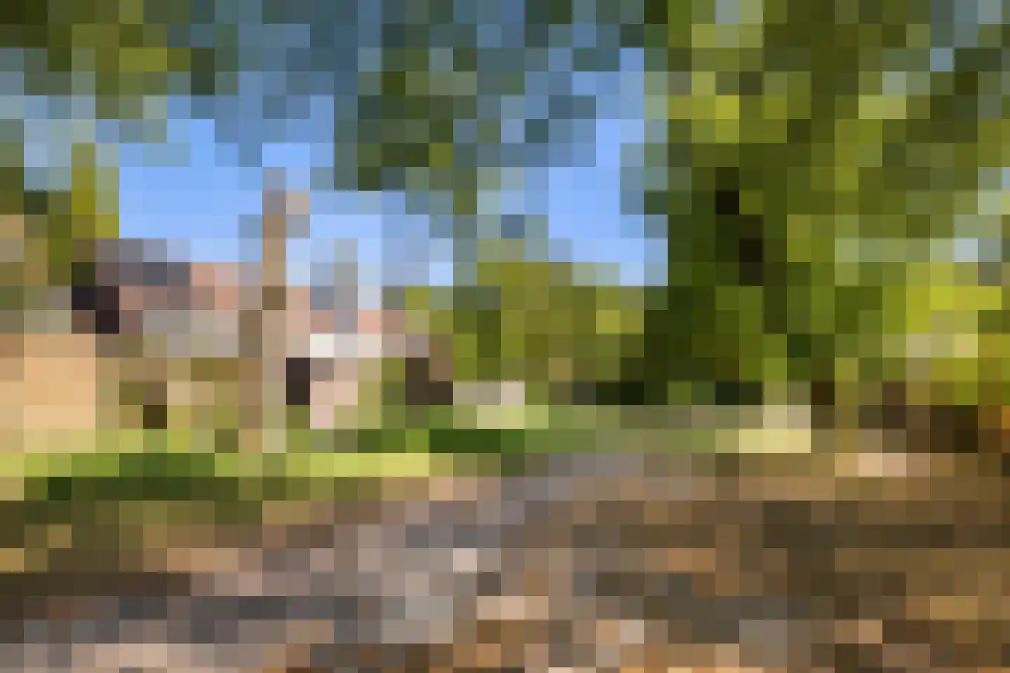 Bachlaan 13 Zeist thumbnail 49