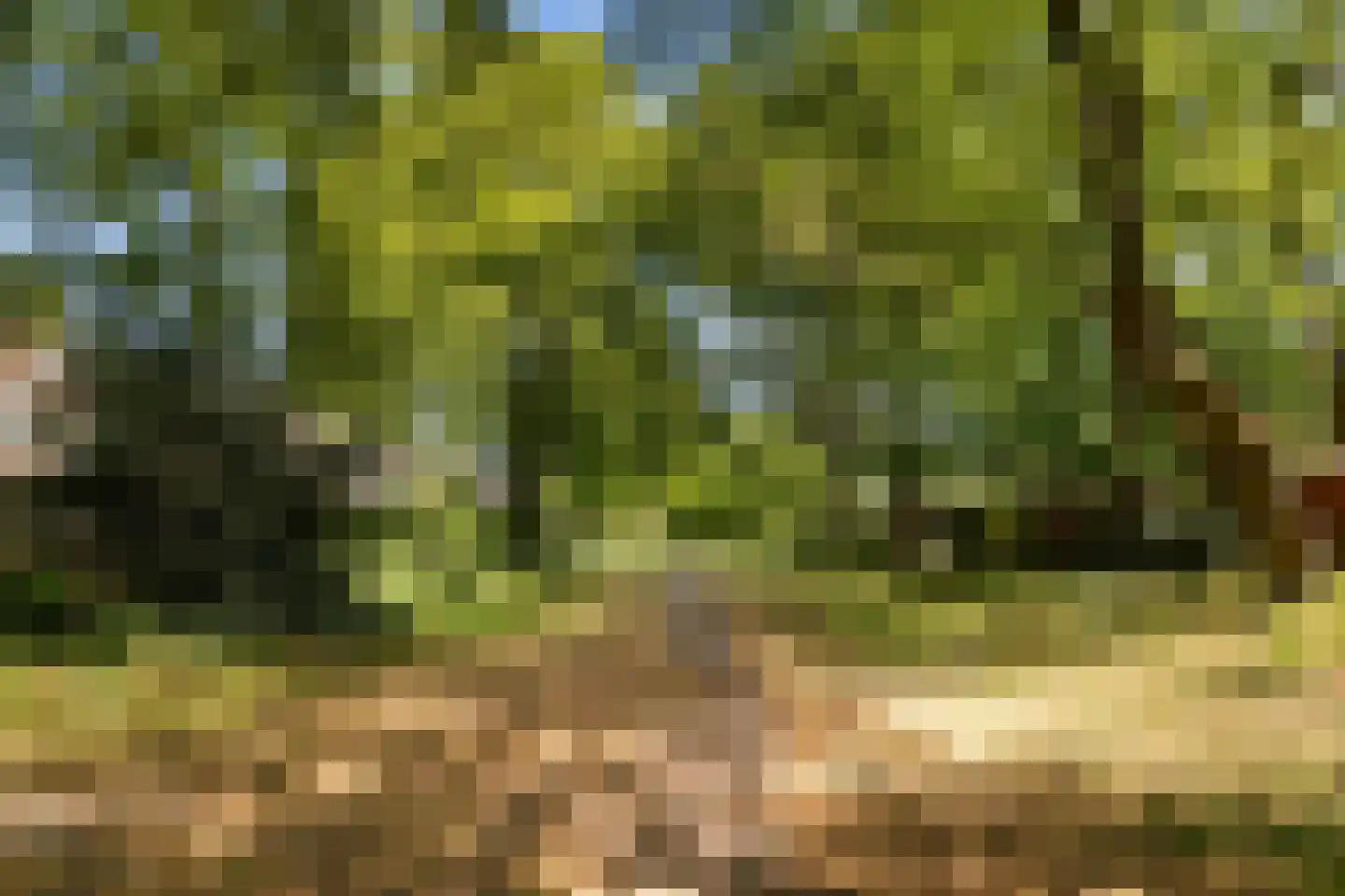 Bachlaan 13 Zeist thumbnail 52