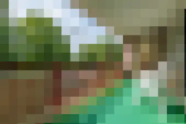 Bachlaan 137 Zeist thumbnail 15