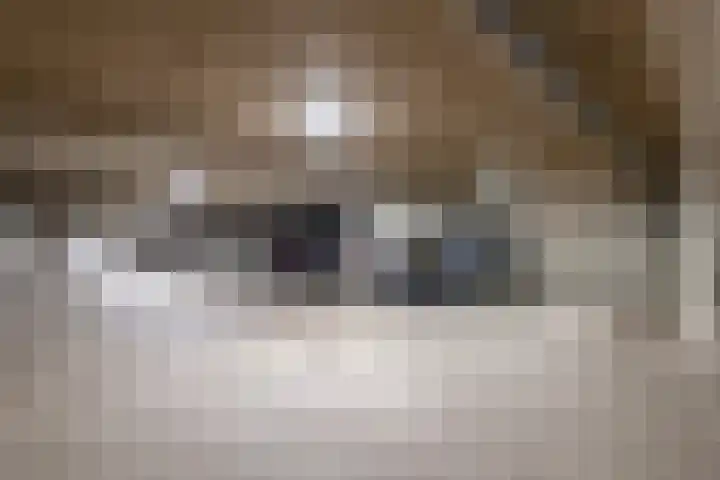 Bachlaan 137 Zeist thumbnail 22