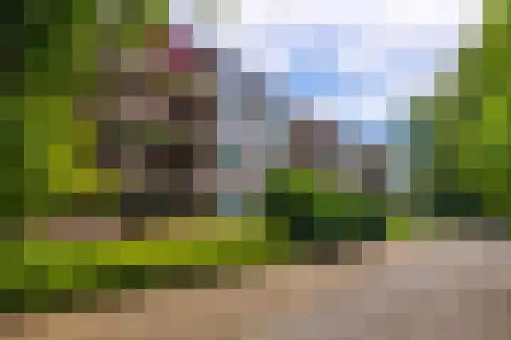 Bachlaan 137 Zeist thumbnail 25