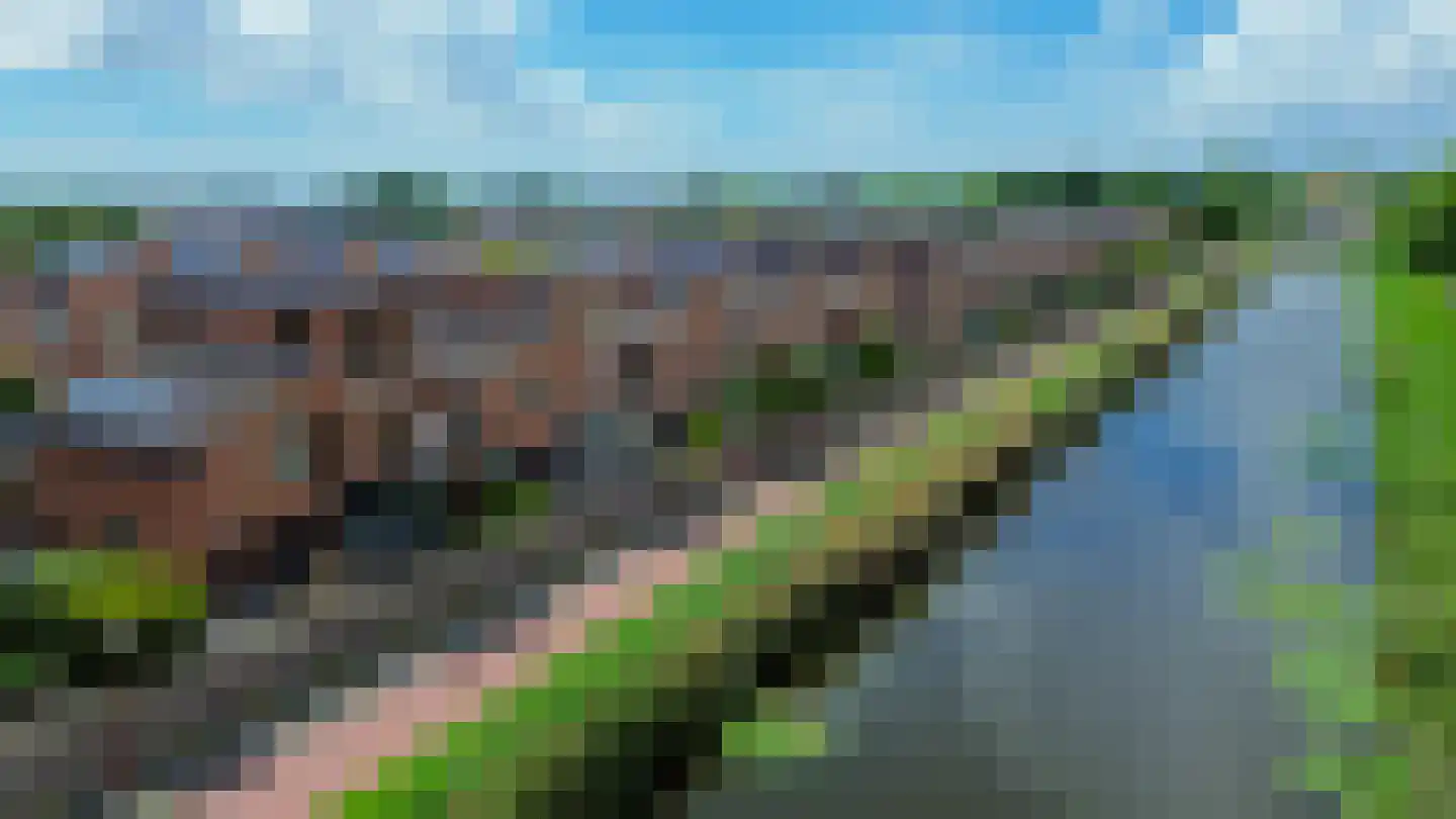 Bachlaan 14 Oud-Beijerland thumbnail 58