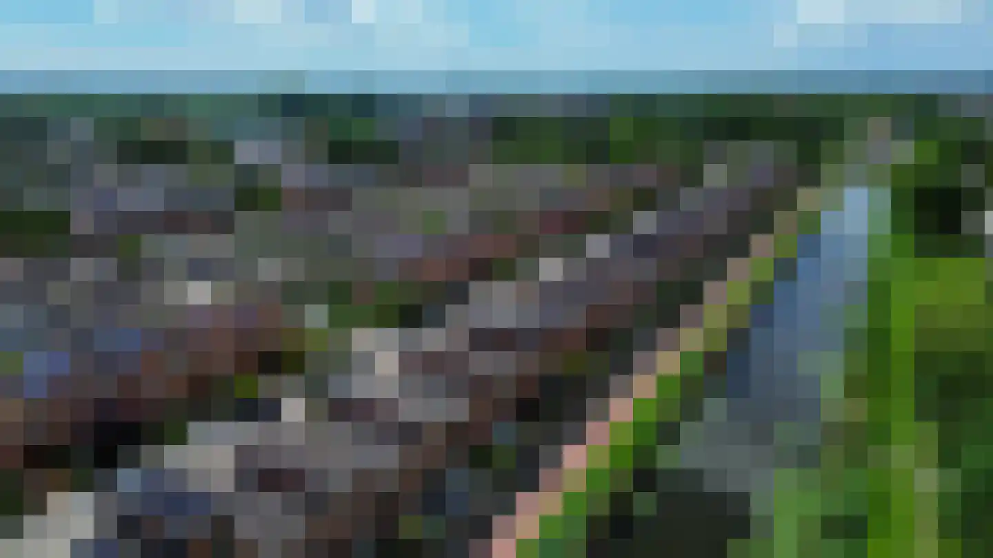 Bachlaan 14 Oud-Beijerland thumbnail 59