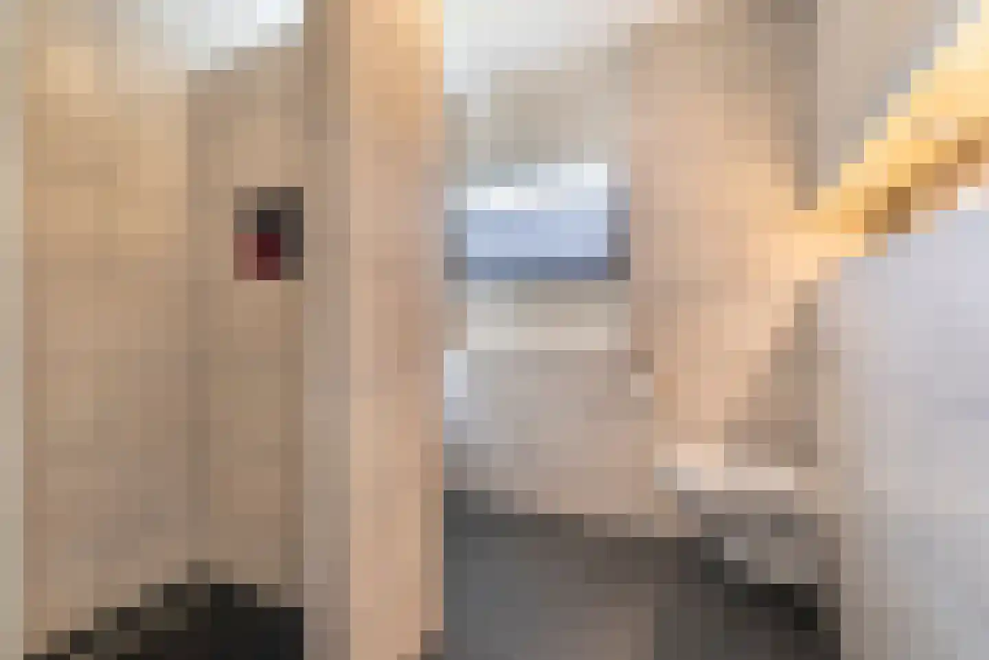 Bachlaan 14 Veenendaal thumbnail 18