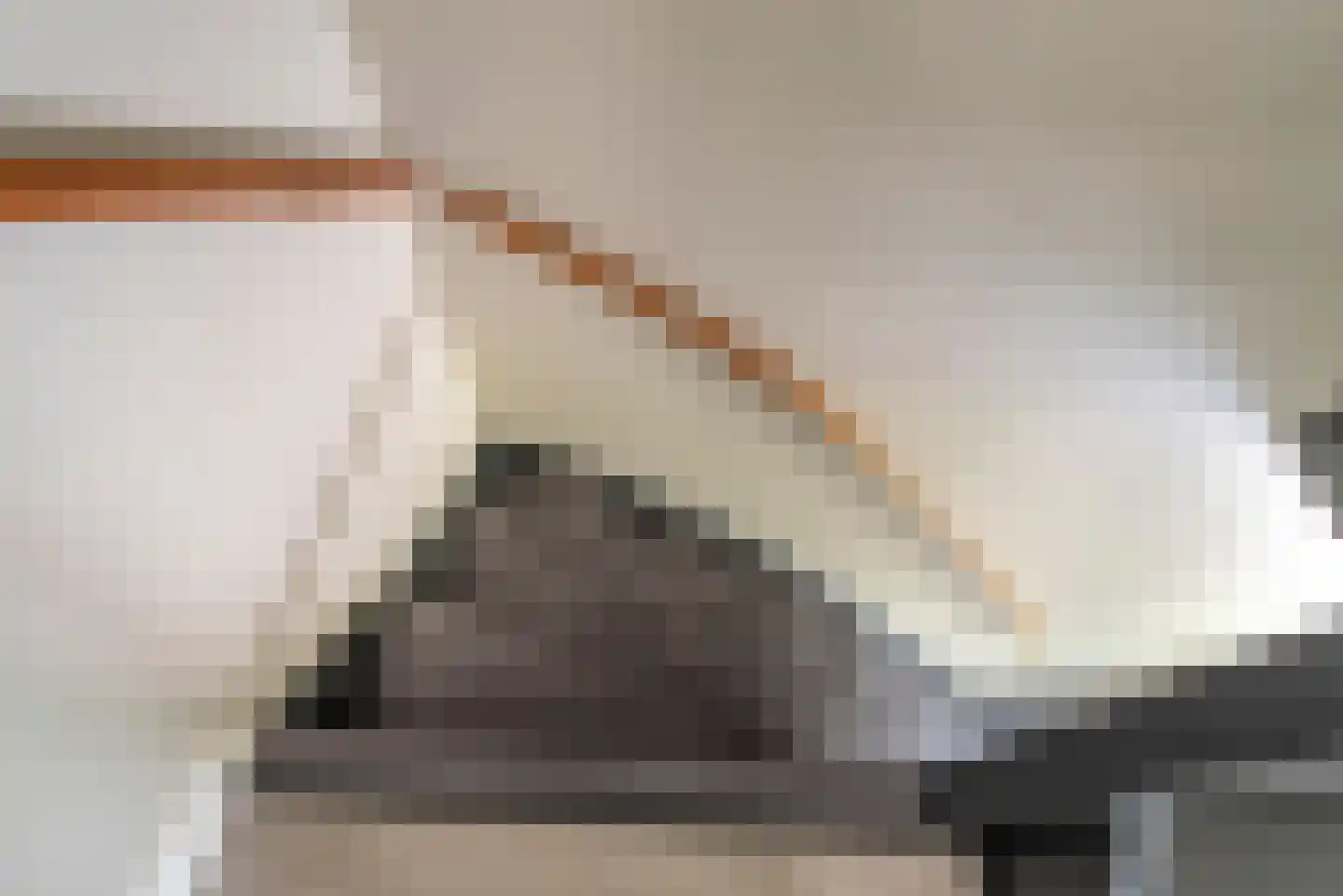 Bachlaan 14 Veenendaal thumbnail 21