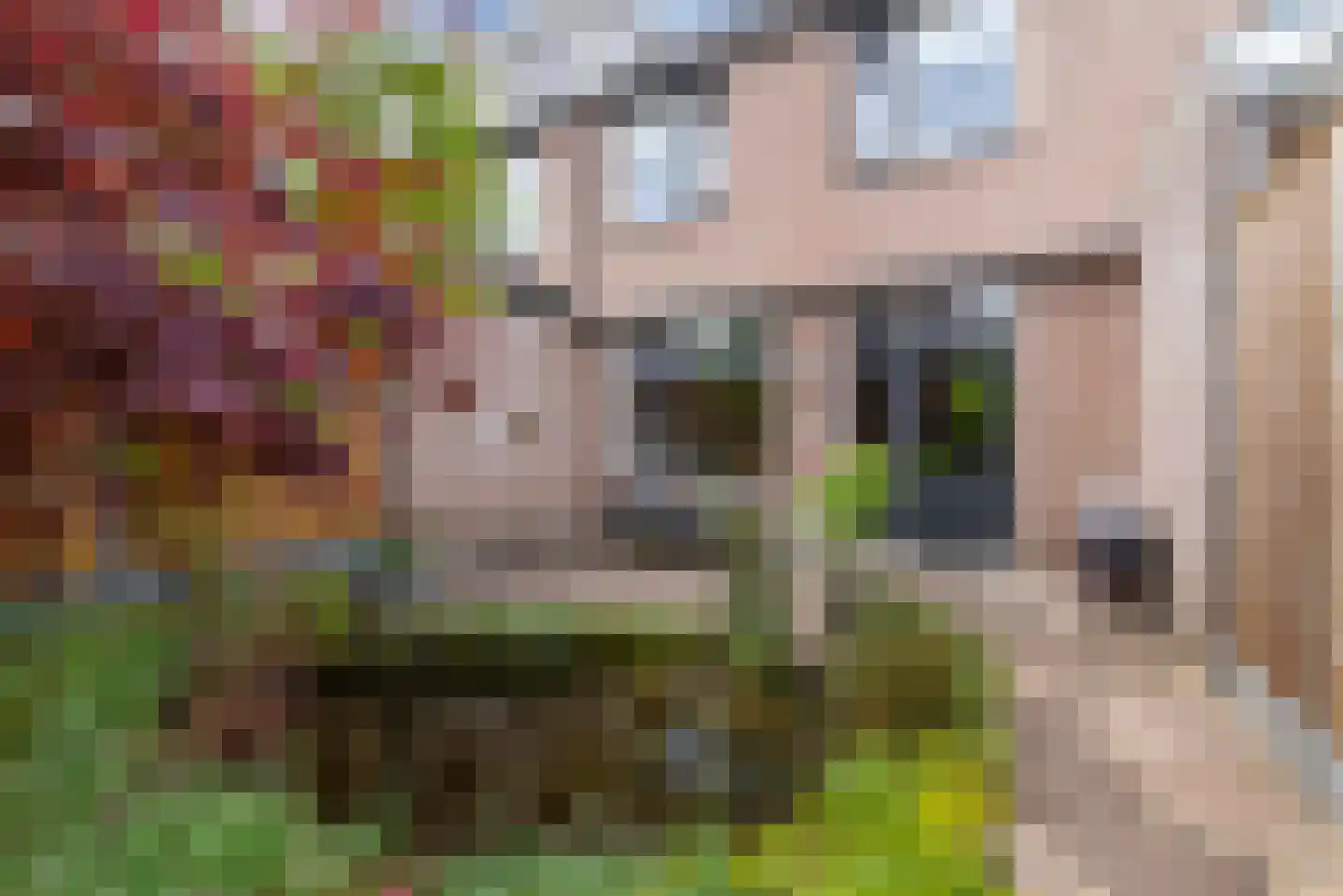 Bachlaan 14 Veenendaal thumbnail 24