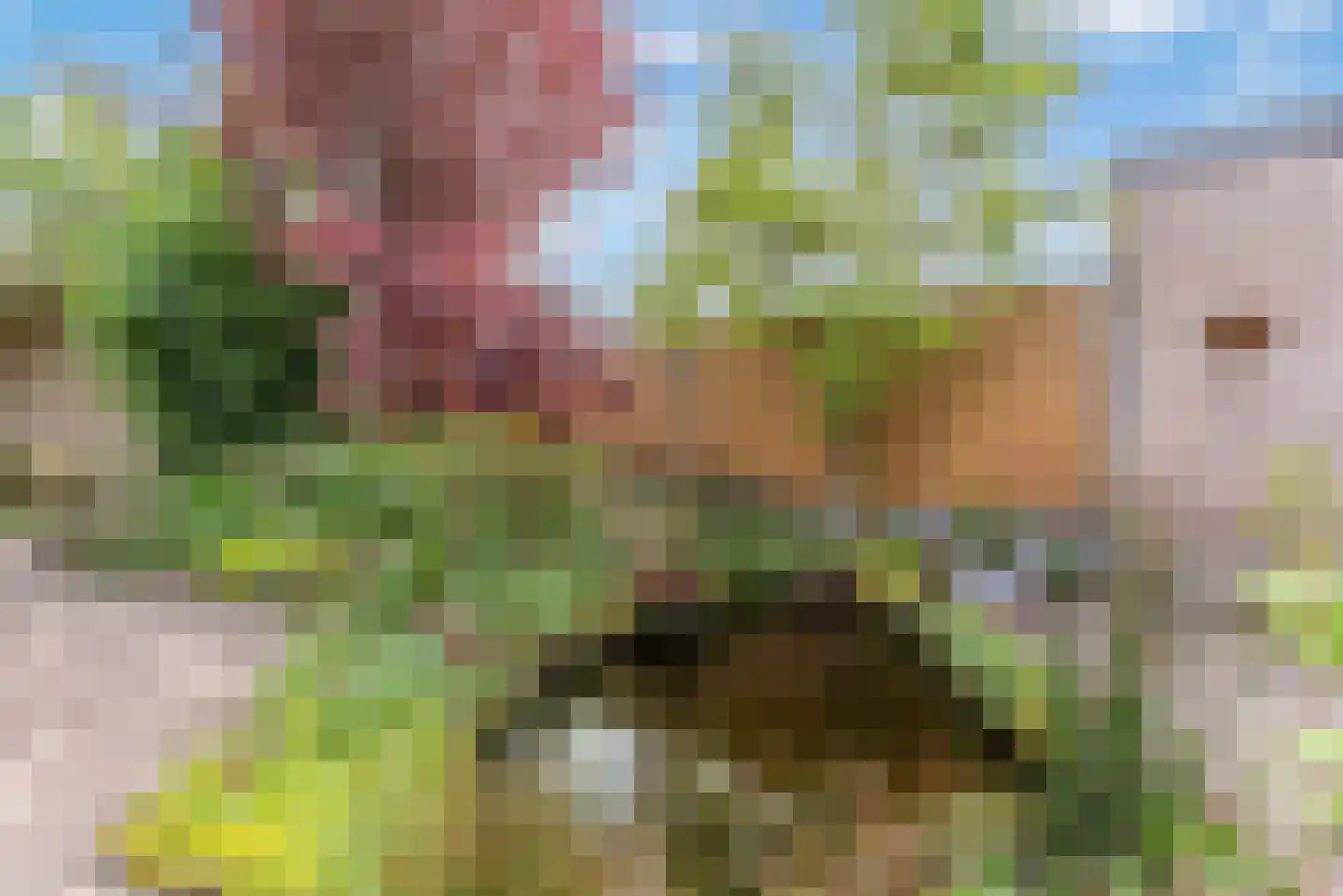 Bachlaan 14 Veenendaal thumbnail 25