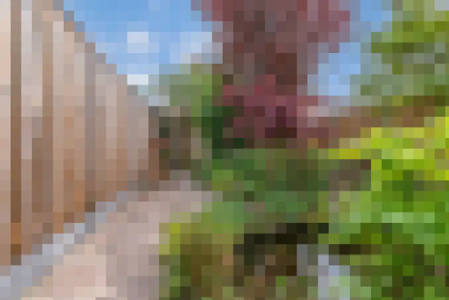 Bachlaan 14 Veenendaal thumbnail 26