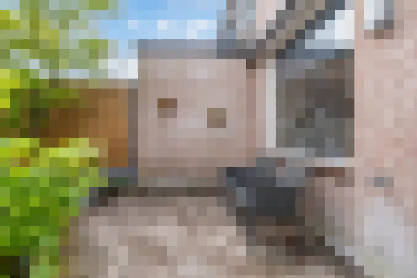 Bachlaan 14 Veenendaal thumbnail 27