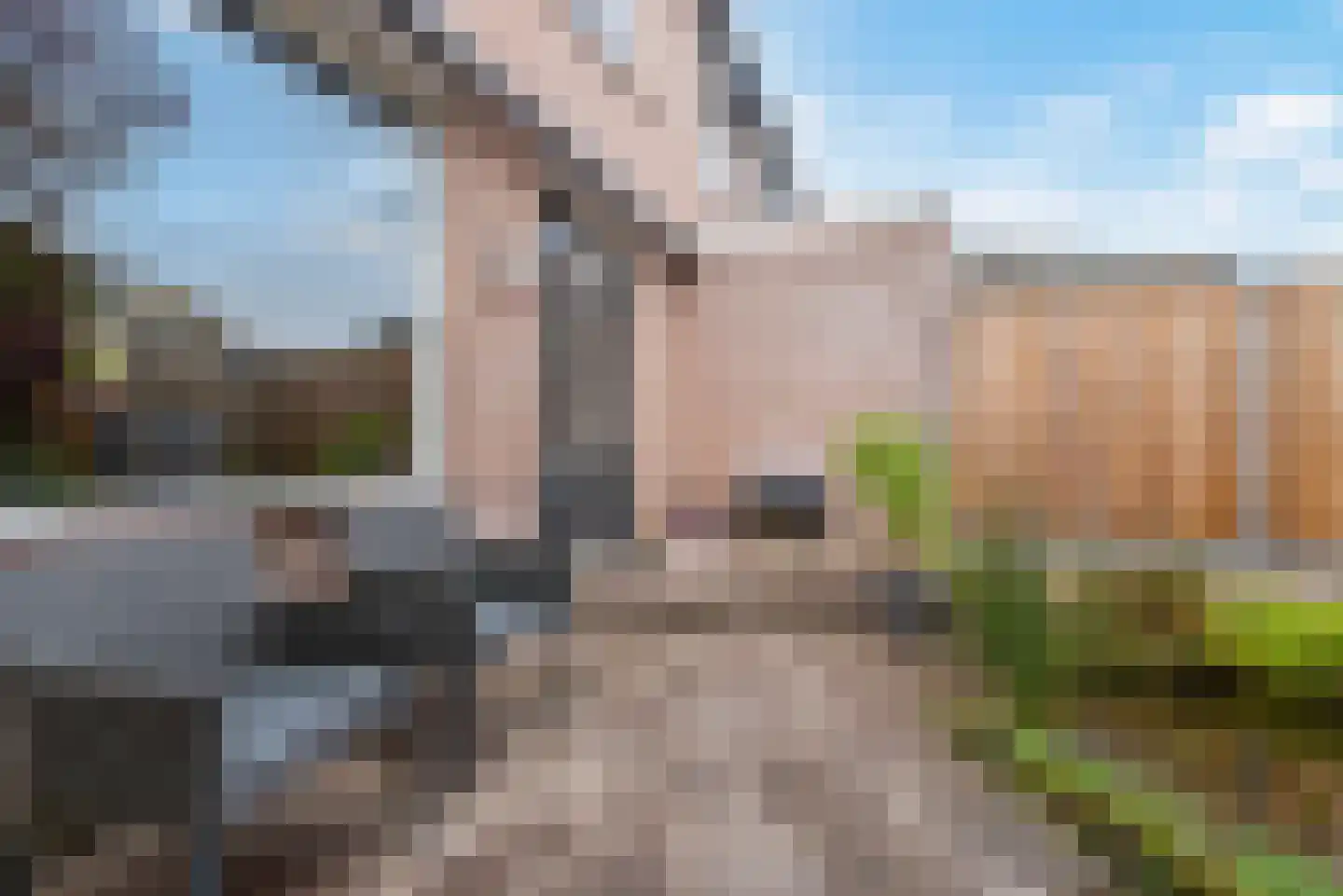 Bachlaan 14 Veenendaal thumbnail 28