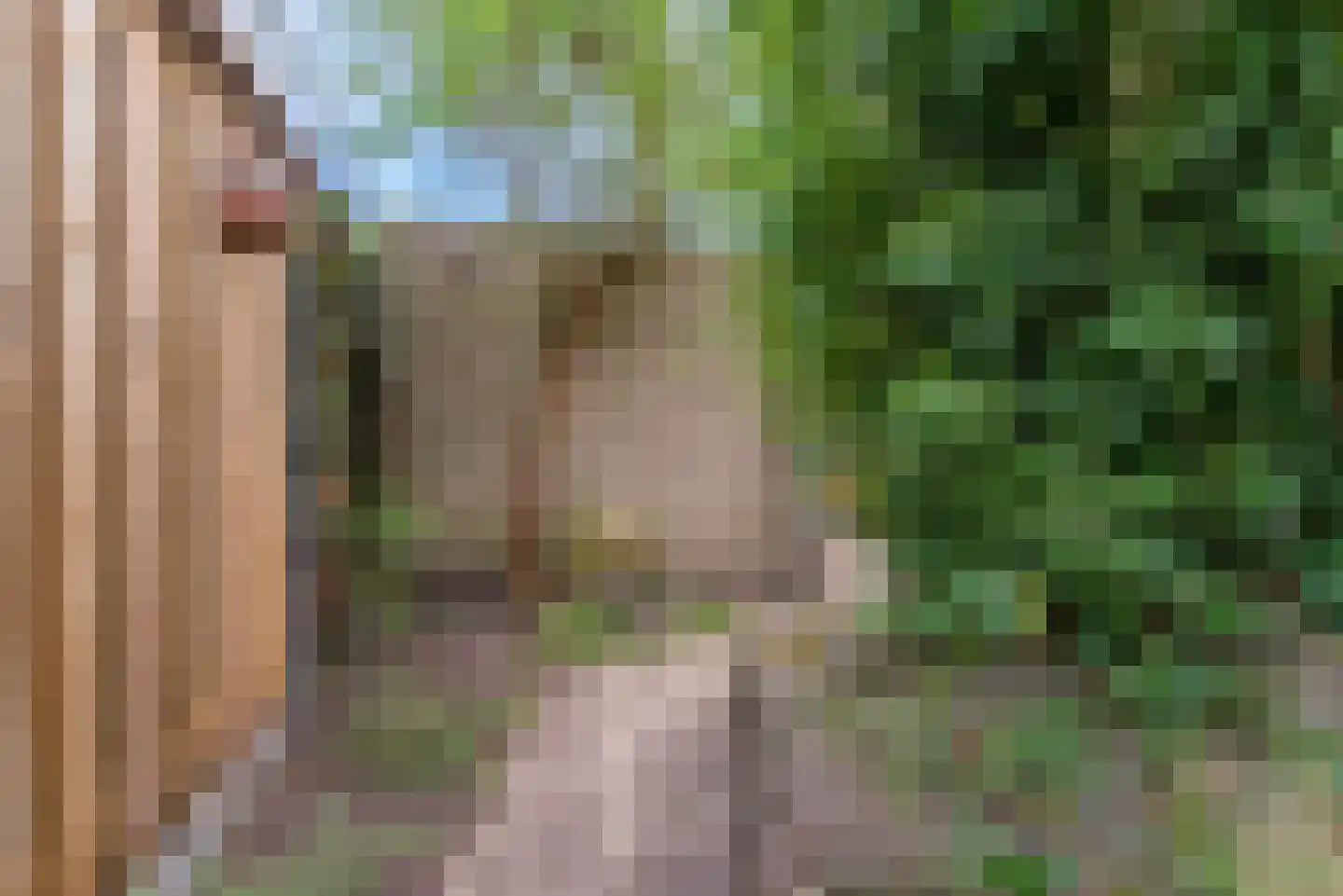 Bachlaan 14 Veenendaal thumbnail 29
