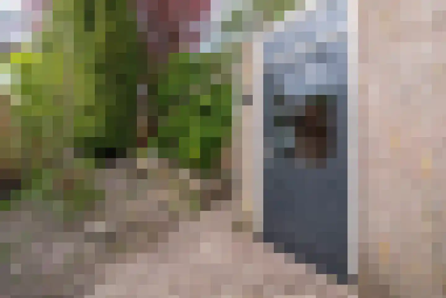 Bachlaan 14 Veenendaal thumbnail 30