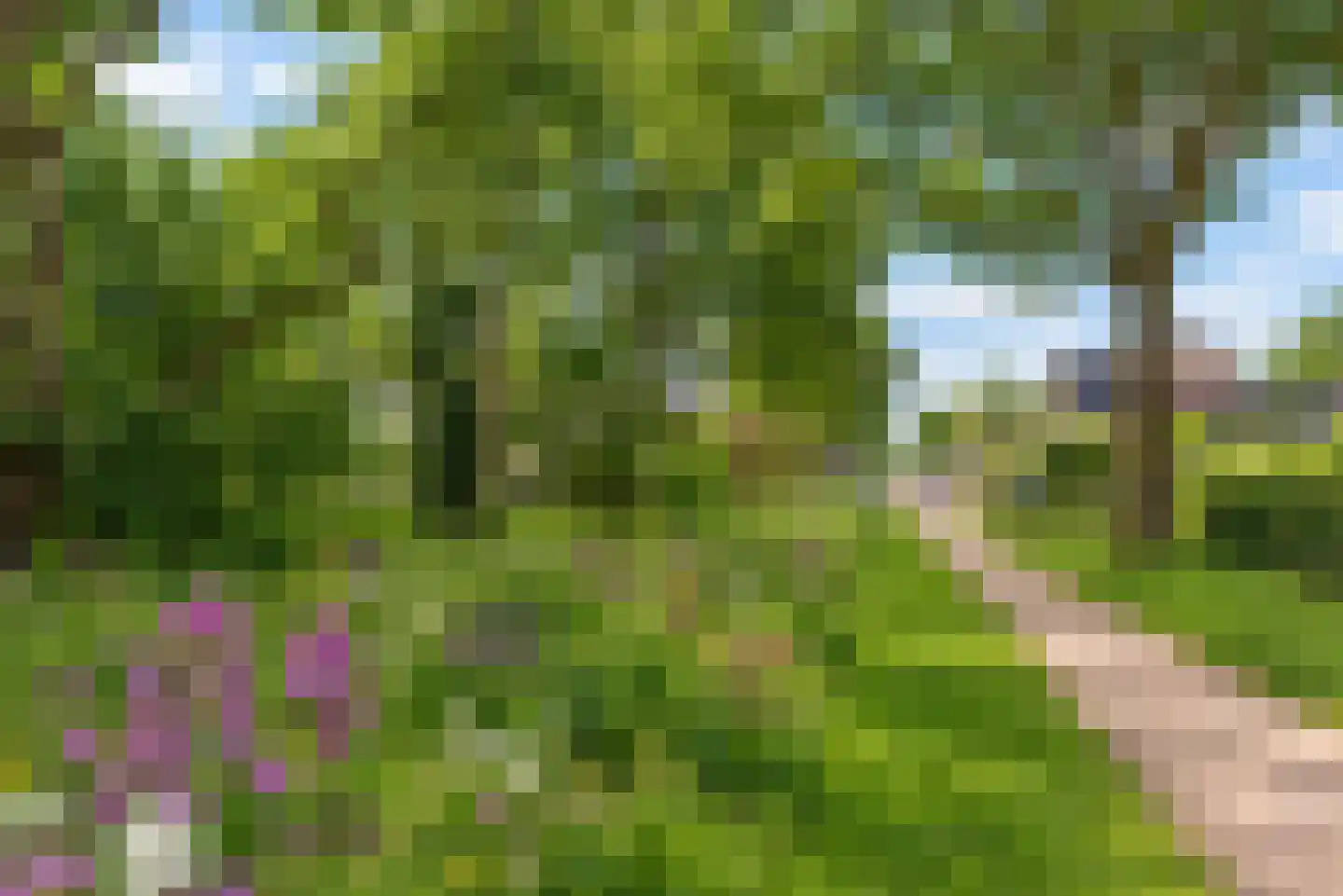 Bachlaan 14 Veenendaal thumbnail 34