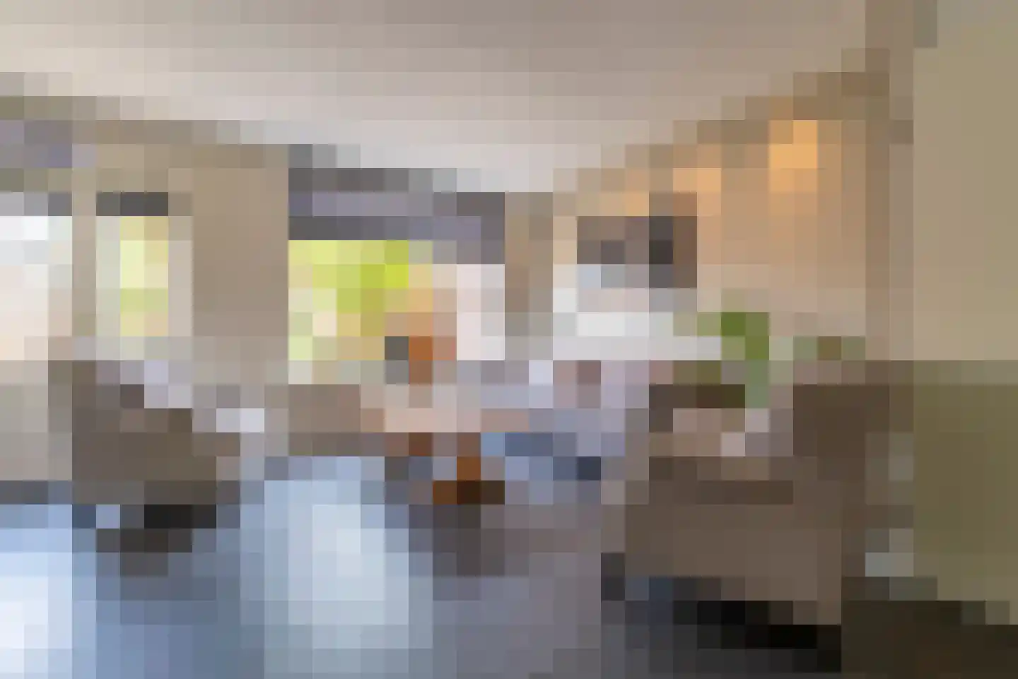 Bachlaan 14 Veenendaal thumbnail 4