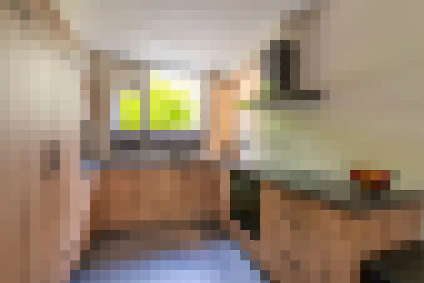 Bachlaan 14 Veenendaal thumbnail 7