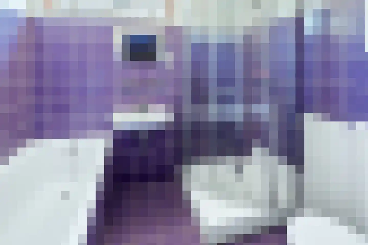 Bachlaan 15 Helmond thumbnail 25