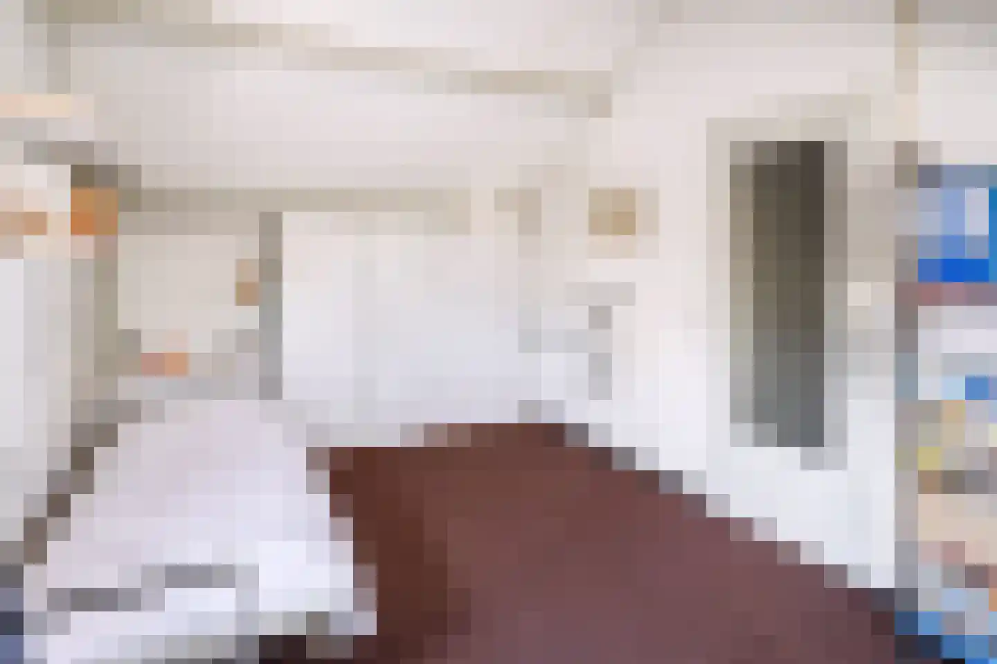 Bachlaan 15 Helmond thumbnail 30
