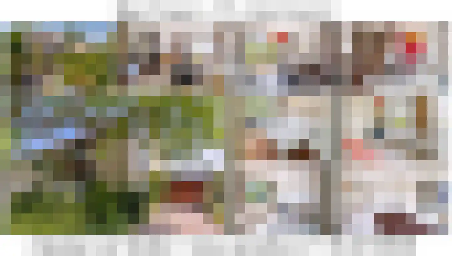 Bachlaan 15 Helmond thumbnail 32