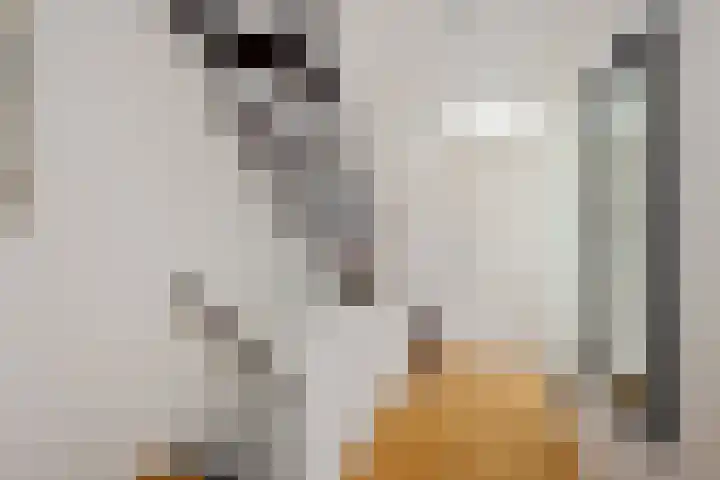 Bachlaan 15 Naaldwijk thumbnail 15