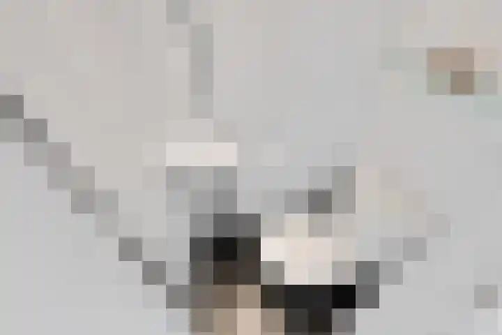 Bachlaan 15 Naaldwijk thumbnail 17