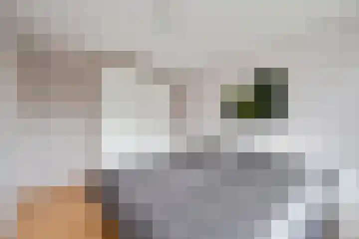 Bachlaan 15 Naaldwijk thumbnail 18