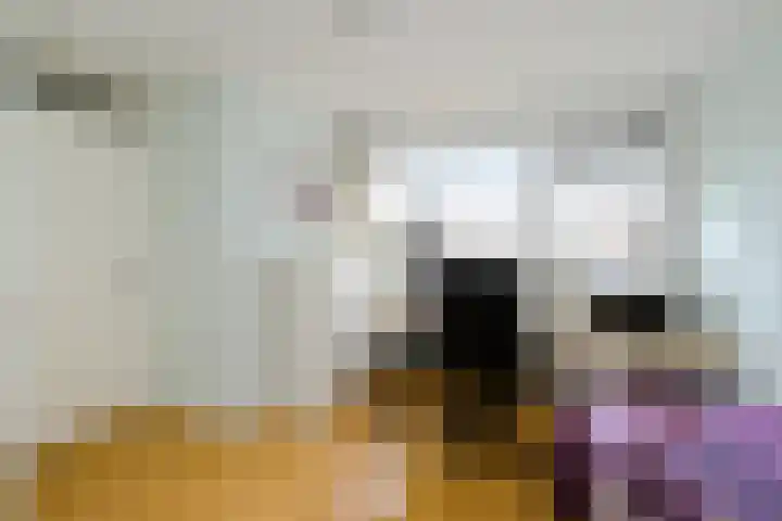 Bachlaan 15 Naaldwijk thumbnail 23