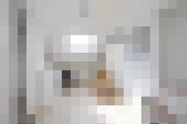 Bachlaan 15 Naaldwijk thumbnail 26