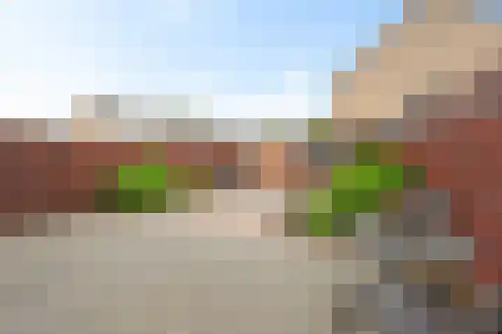 Bachlaan 15 Naaldwijk thumbnail 30