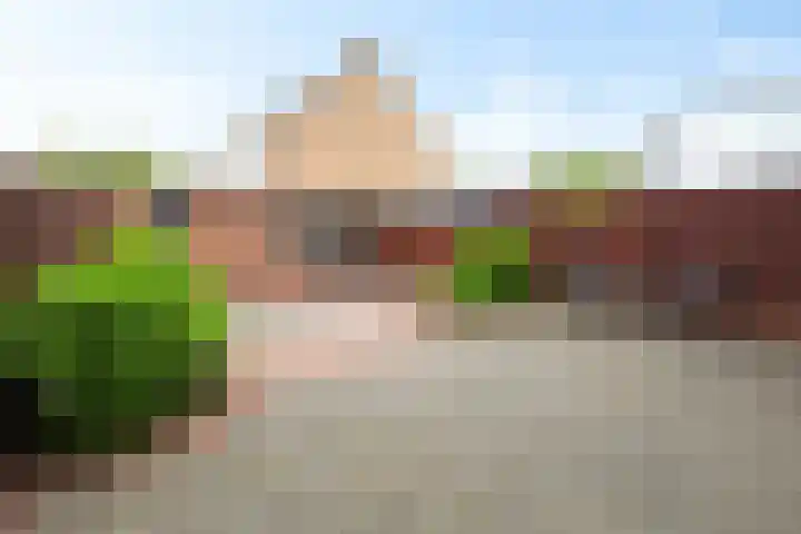 Bachlaan 15 Naaldwijk thumbnail 31